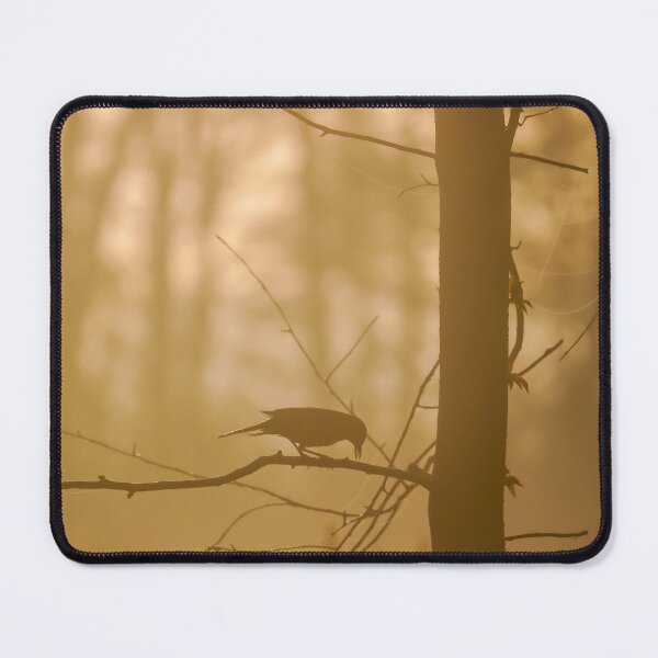 Item preview, The bird in the morning designed and sold by edu-perspektive.