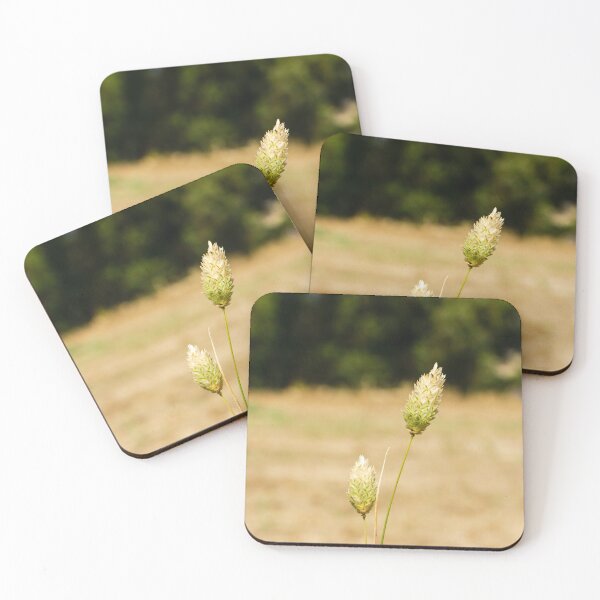 Item preview, Close-Up of Wild Grass in a Sunlit Field designed and sold by Nmallia.
