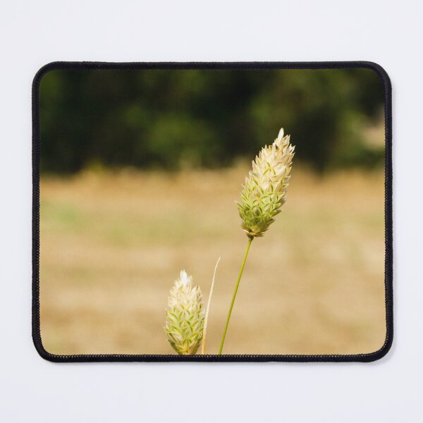 Item preview, Close-Up of Wild Grass in a Sunlit Field designed and sold by Nmallia.