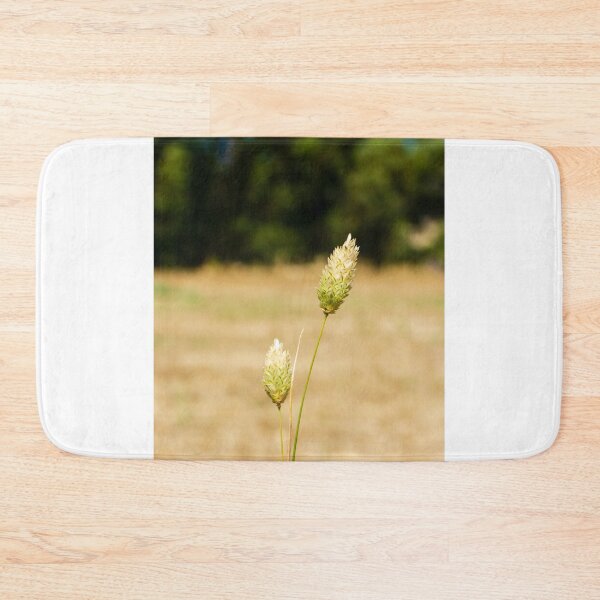 Item preview, Close-Up of Wild Grass in a Sunlit Field designed and sold by Nmallia.