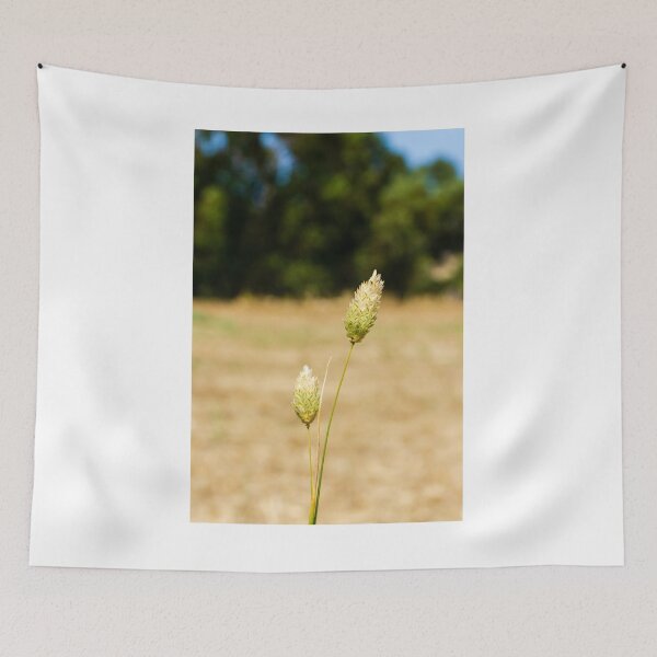 Item preview, Close-Up of Wild Grass in a Sunlit Field designed and sold by Nmallia.