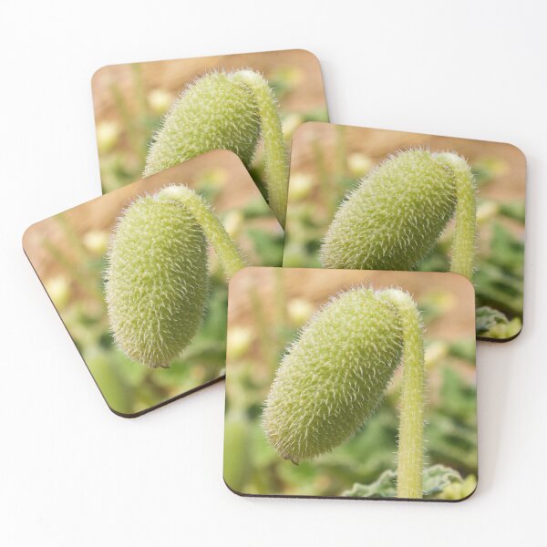 Item preview, Close-Up Macro Image of a Hairy Plant Pod in Natural Surroundings designed and sold by Nmallia.