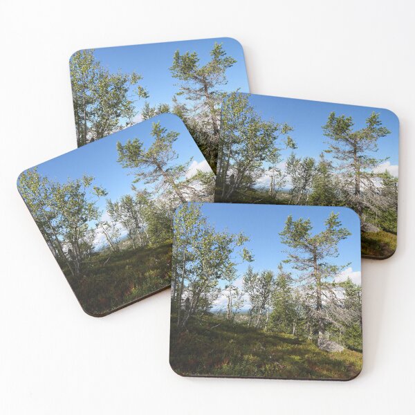 Item preview, Mountain trees.Valtavaara 2025 number 10 designed and sold by Jouko Lehto Photography.