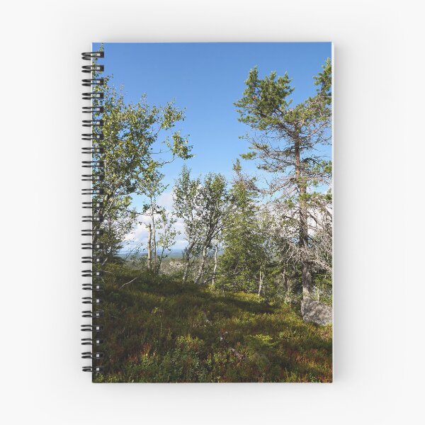 Item preview, Mountain trees.Valtavaara 2025 number 10 designed and sold by Jouko Lehto Photography.