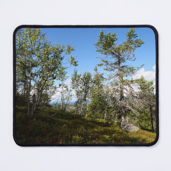 Item preview, Mountain trees.Valtavaara 2025 number 10 designed and sold by Jouko Lehto Photography.