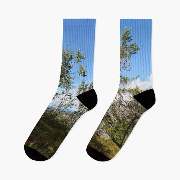Item preview, Mountain trees.Valtavaara 2025 number 10 designed and sold by Jouko Lehto Photography.