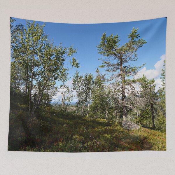 Item preview, Mountain trees.Valtavaara 2025 number 10 designed and sold by Jouko Lehto Photography.
