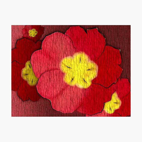 Red Evening Primrose Photographic Print