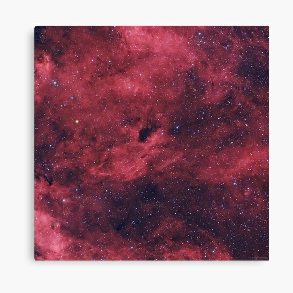 Barnard 343 - Dark Nebula in Cygnus Canvas Print