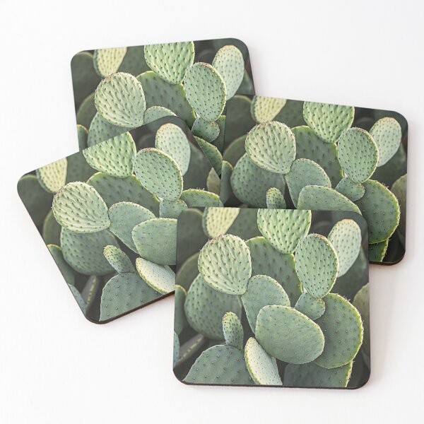 Item preview, Cactus Details designed and sold by pamelastasczak.