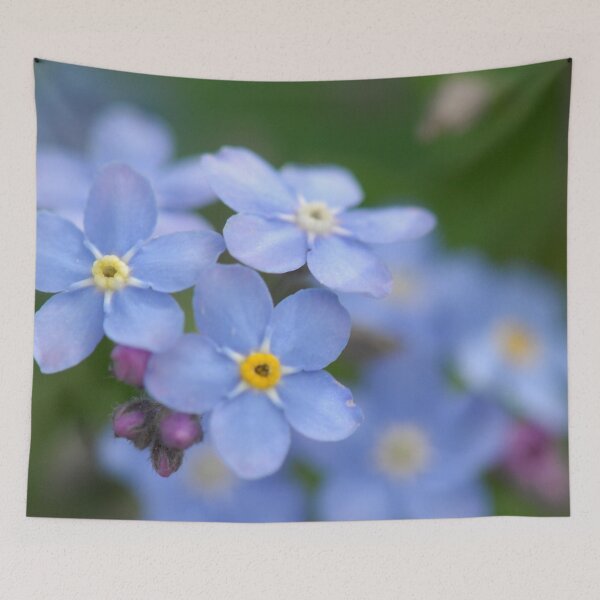 Item preview, Flowers Izby Garden 4 designed and sold by CasparTheRiddle.