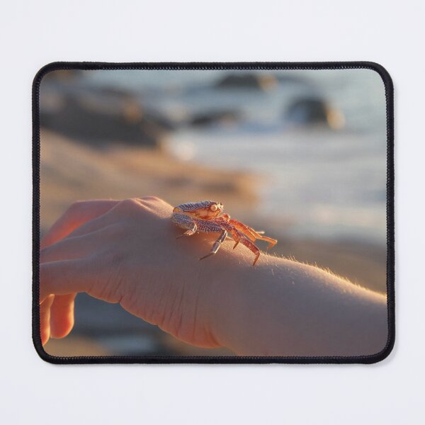 Item preview, orange scorpion designed and sold by newandchange.