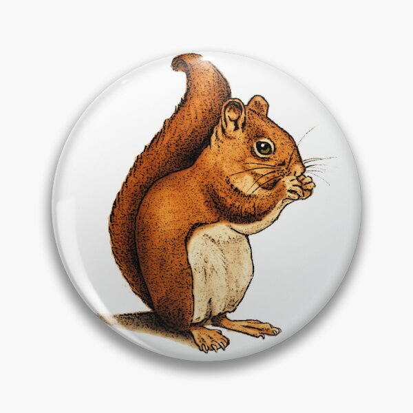 Item preview, Squirrel Eating: Illustration of Red Squirrel designed and sold by JoyfulWhimsy.