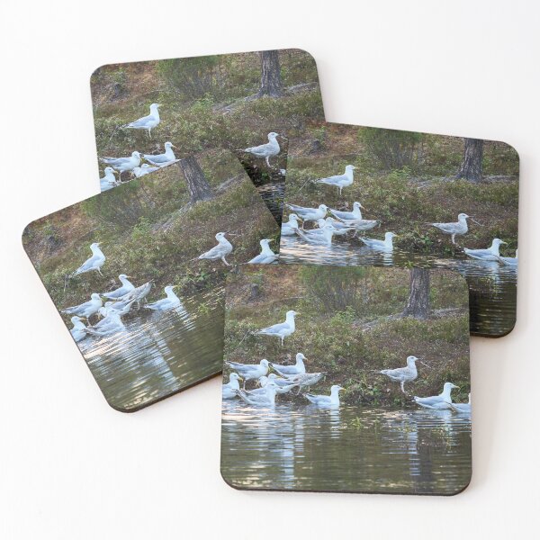 Item preview, The group. European herring gull designed and sold by Jouko Lehto Photography.