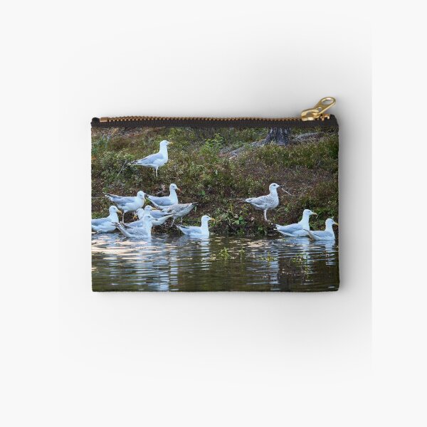 Item preview, The group. European herring gull designed and sold by Jouko Lehto Photography.