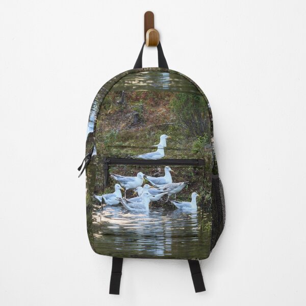 Item preview, The group. European herring gull designed and sold by Jouko Lehto Photography.