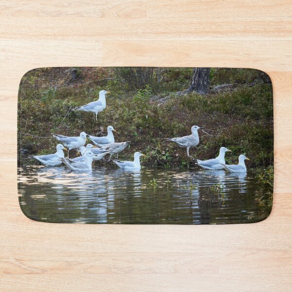 Item preview, The group. European herring gull designed and sold by Jouko Lehto Photography.