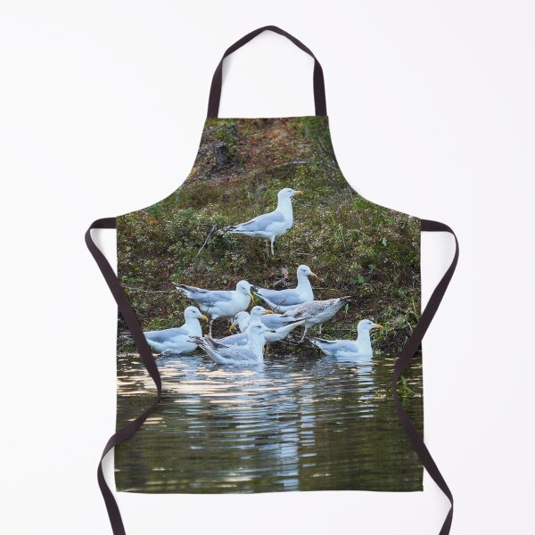 Item preview, The group. European herring gull designed and sold by Jouko Lehto Photography.