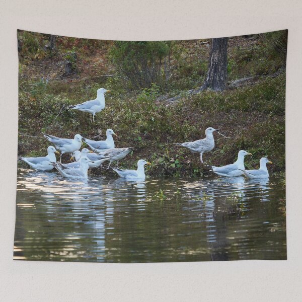 Item preview, The group. European herring gull designed and sold by Jouko Lehto Photography.