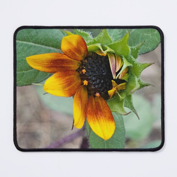 Item preview, Half bloom designed and sold by DancingCreek.