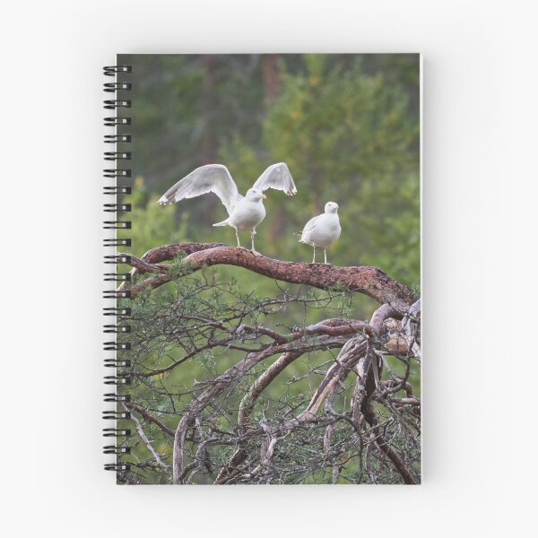 Item preview, Take offs. European herring gull designed and sold by Jouko Lehto Photography.