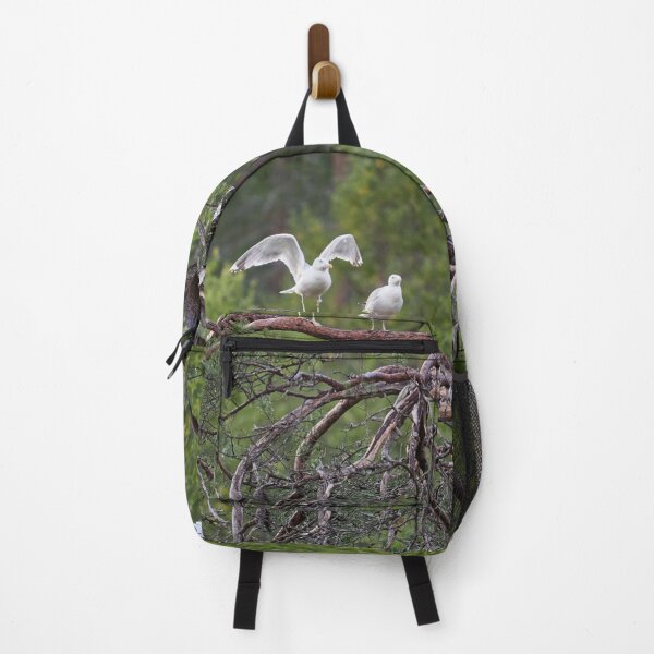 Item preview, Take offs. European herring gull designed and sold by Jouko Lehto Photography.