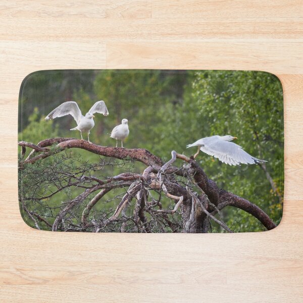Item preview, Take offs. European herring gull designed and sold by Jouko Lehto Photography.