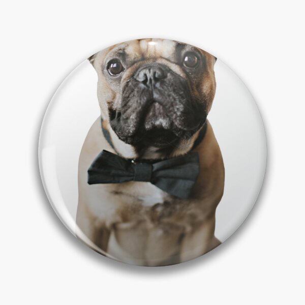 Item preview, The Cutest French Bulldog designed and sold by printskeep.