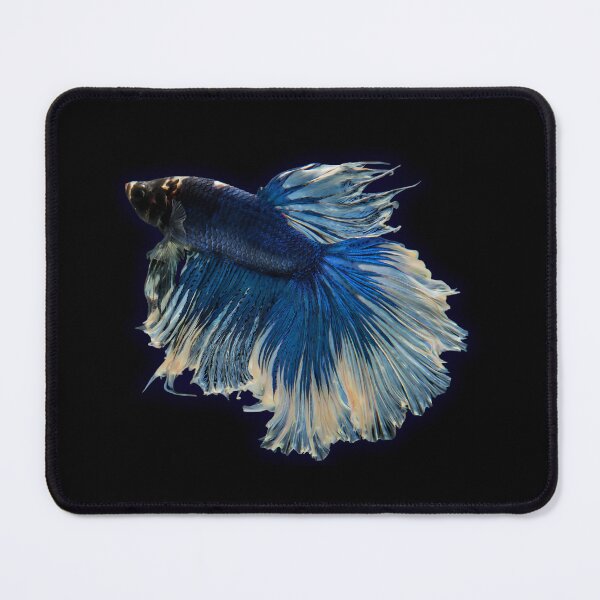 Item preview, Royal Blue Betta Fish | Vintage Aquatic Artwork Design designed and sold by Otaku Style.