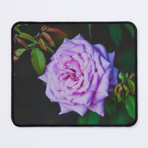 Aperçu de l'œuvre Rose rose créée et vendue par anchorsofhope.
