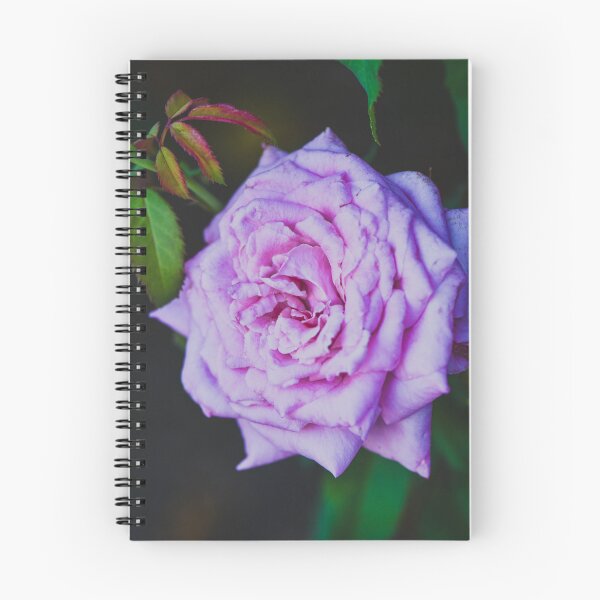 Item preview, Pink Rose designed and sold by anchorsofhope.