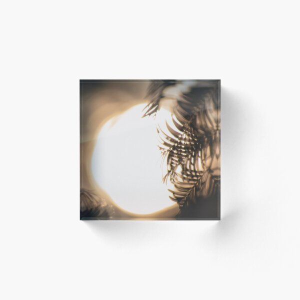 Item preview, Sun Through the Trees designed and sold by CollinPics.