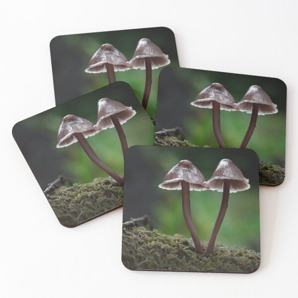 Item preview, Twin Toadstools on the forest floor designed and sold by RedGrouse.