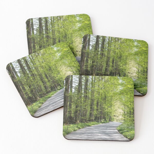 Item preview, Spring path in the forest designed and sold by rhosbahu.