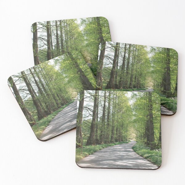 Item preview, Forest path in spring light designed and sold by rhosbahu.