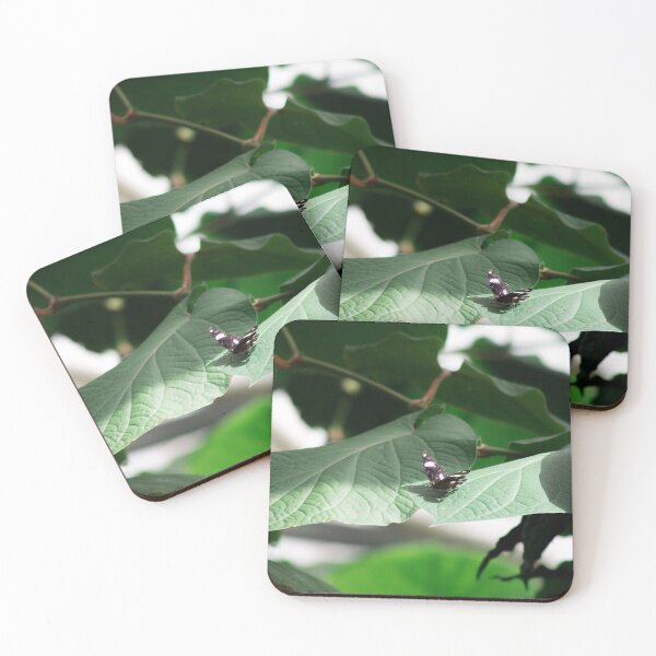 Item preview, butterfly on green leaf designed and sold by rhosbahu.