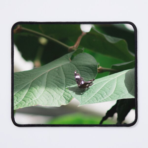 Item preview, butterfly on green leaf designed and sold by rhosbahu.
