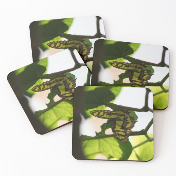Item preview, Butterfly in the leaf light designed and sold by rhosbahu.