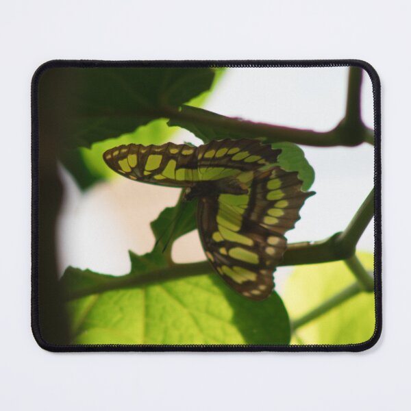 Item preview, Butterfly in the leaf light designed and sold by rhosbahu.