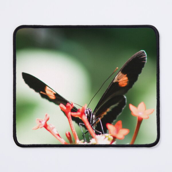 Item preview, butterfly on red flower designed and sold by rhosbahu.