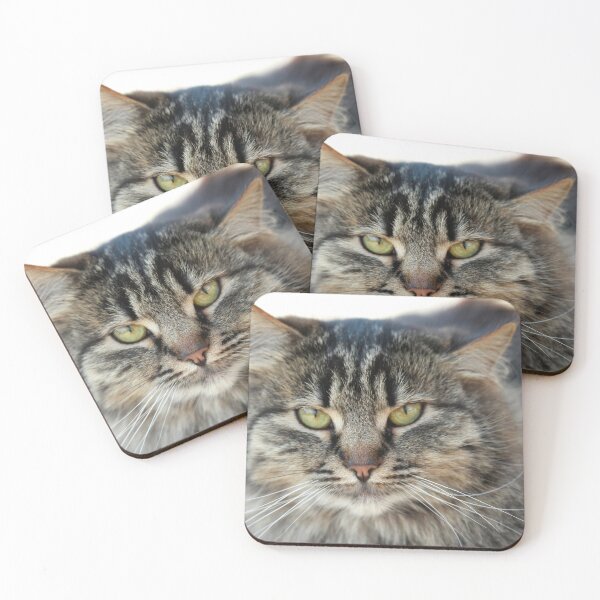 Item preview, Portrait of cute fluffy cat designed and sold by olena2552.