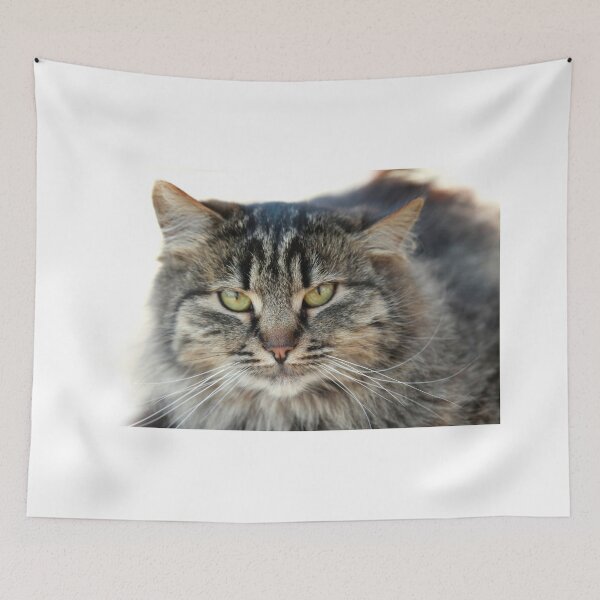 Item preview, Portrait of cute fluffy cat designed and sold by olena2552.