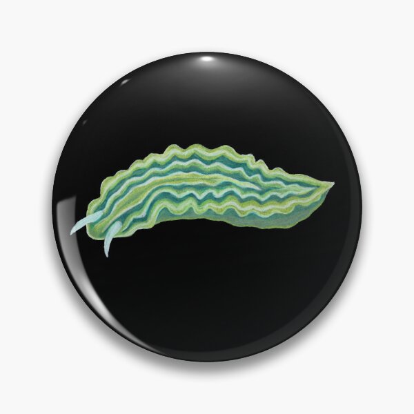 Item preview, Lettuce sea slug in colored pencil designed and sold by WolfRaven Creations.