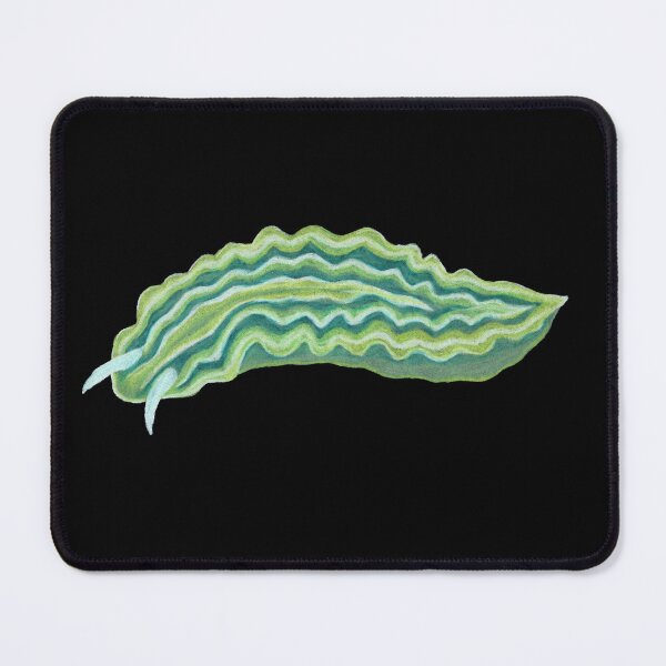 Item preview, Lettuce sea slug in colored pencil designed and sold by WolfRaven Creations.