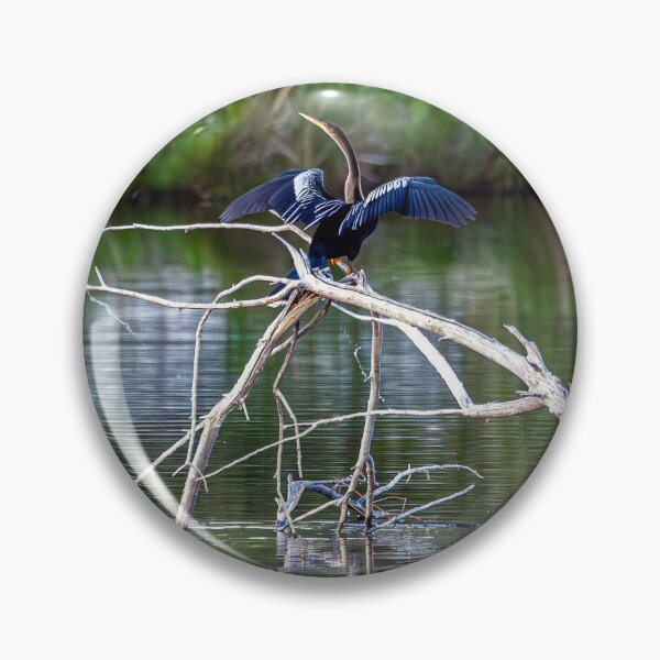 Item preview, Anhinga Spreading Wings in Colorado designed and sold by Jarrett720.