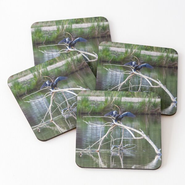 Item preview, Anhinga Spreading Wings in Colorado designed and sold by Jarrett720.