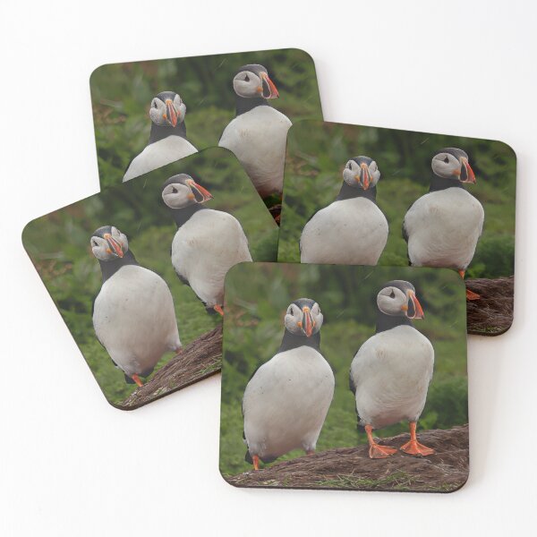 Item preview, Cute Puffins Pair – Iceland Atlantic Puffin Wall Art & Wildlife Photography designed and sold by Seat2E.