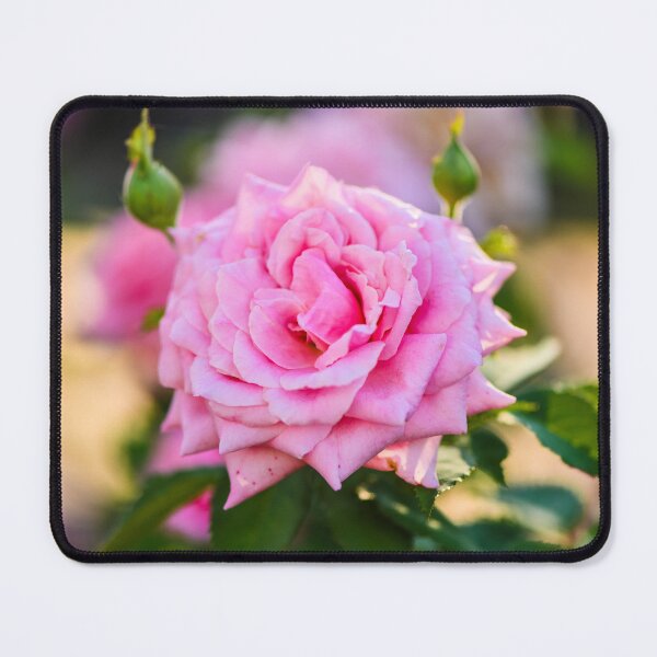 Item preview, 6559 Rose designed and sold by anchorsofhope.