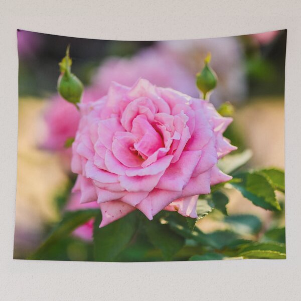 Item preview, 6559 Rose designed and sold by anchorsofhope.