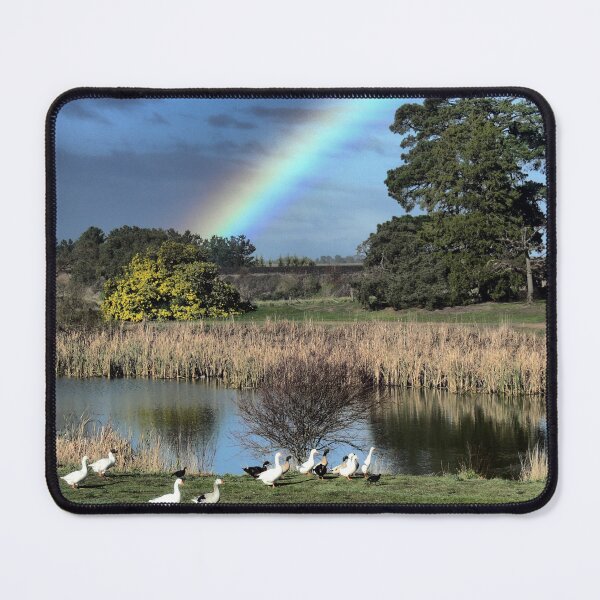 Item preview, The Ridderlls Creek Lake (9) - Quackers under a Rainbow Sky designed and sold by Larry Davis.
